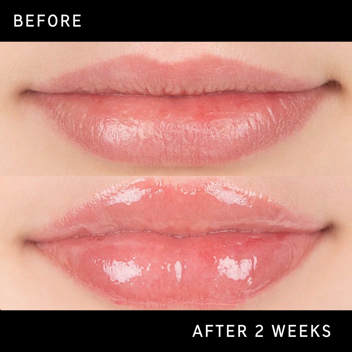 tripeptide-plumping-lip-balm-d3 DTC-Top15_Amends_Tripeptide-Lip_B_A.jpg